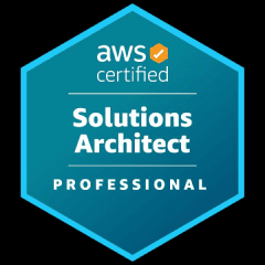 /solutions-architect.png